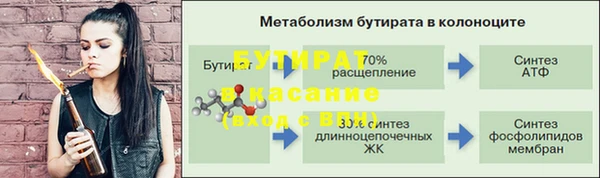 сатива Белоозёрский